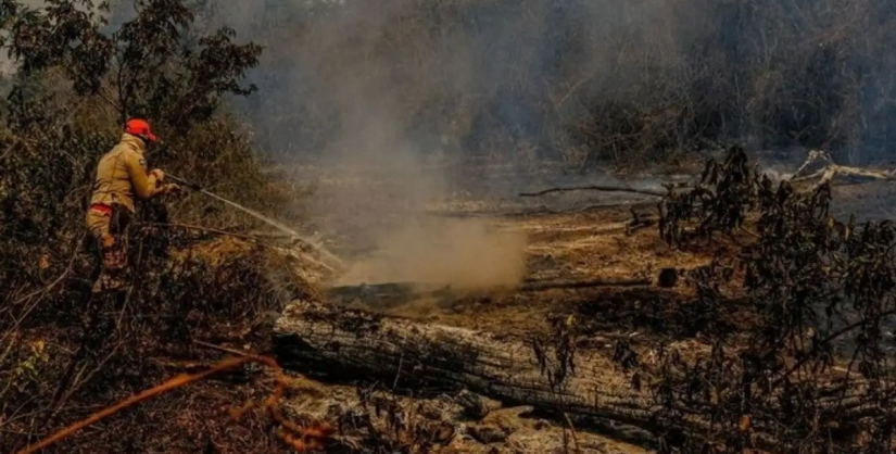 Super El Niño pode provocar 451 mil mortes por calor extremo no mundo, estima estudo