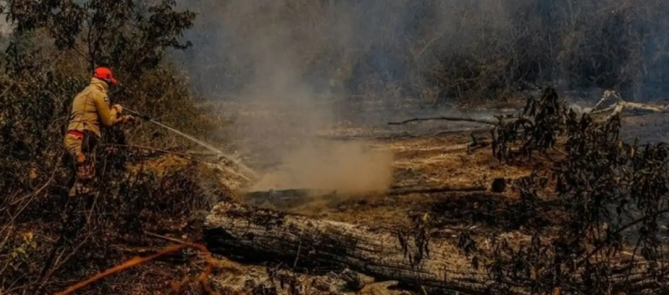Super El Niño pode provocar 451 mil mortes por calor extre...