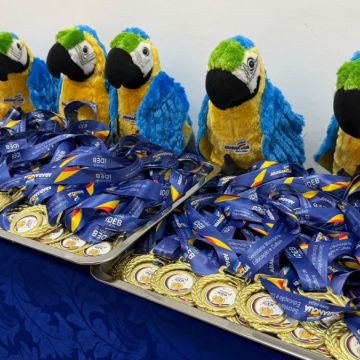 Araranguá registra avanço histórico no IDEB e reconhece escolas e profissionais da rede municipal