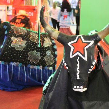 Unesc é parceira da 31ª Festa das Etnias