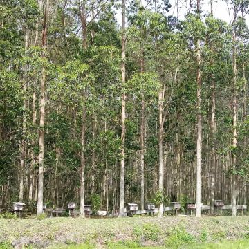 Suporte técnico auxilia nas demandas da agricultura