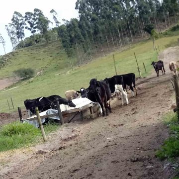 Suporte técnico auxilia nas demandas da agricultura