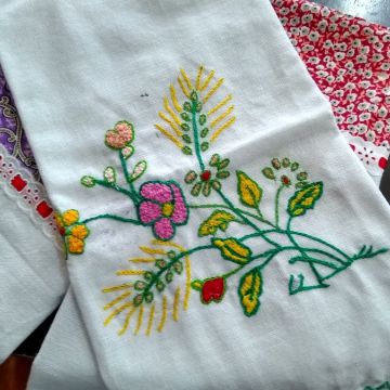 Projeto 'A Nona Também Fazia' está gerando frutos