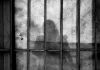 TJSC condena filha por tortura e cárcere privado contra a própria mãe no sul do Estado