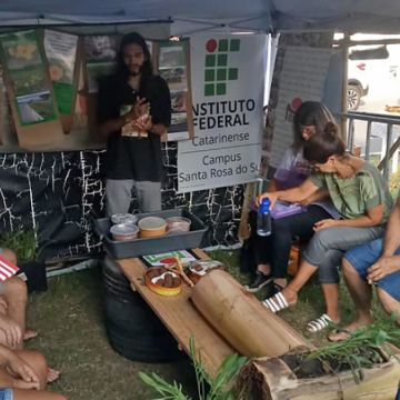 Oficina gratuita dá dicas de paisagismo 