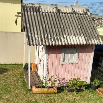 Oficina gratuita dá dicas de paisagismo 