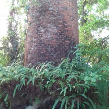 Chaminé do antigo Engenho Belinzoni, que faz parte da história do município, segue abandonado