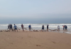 10 toneladas de corvinas são pescadas no Arroio