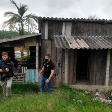 Polícia Civil de Turvo resgata cãozinho vítima de maus tratos