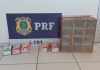 PRF encontra pássaros silvestres presos em gaiolas e caixas de leite na BR 101
