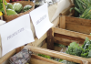 Feira da Agricultura Familiar completa um ano de vendas no sistema delivery
