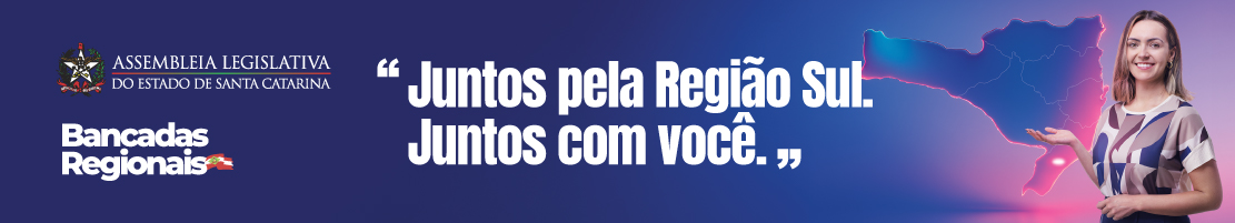 DEMANDAS BANCADAS REGIONAIS